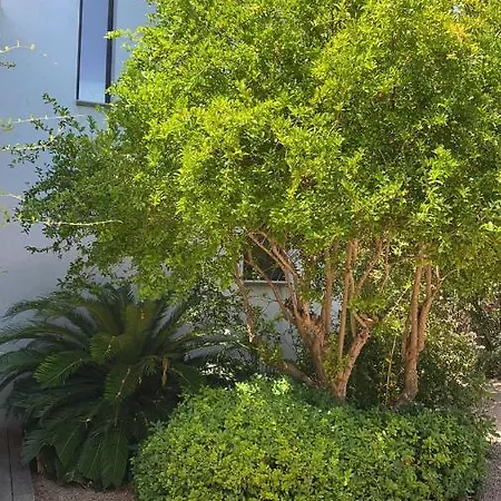 Villa Torraccia 4 Etoiles Sainte-Lucie de Porto-Vecchio