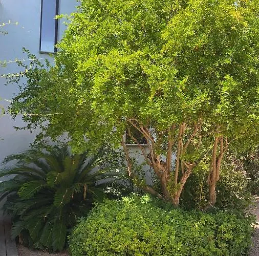 Villa Torraccia 4 Etoiles Sainte-Lucie de Porto-Vecchio